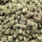 Orange Cookies CBD Flower