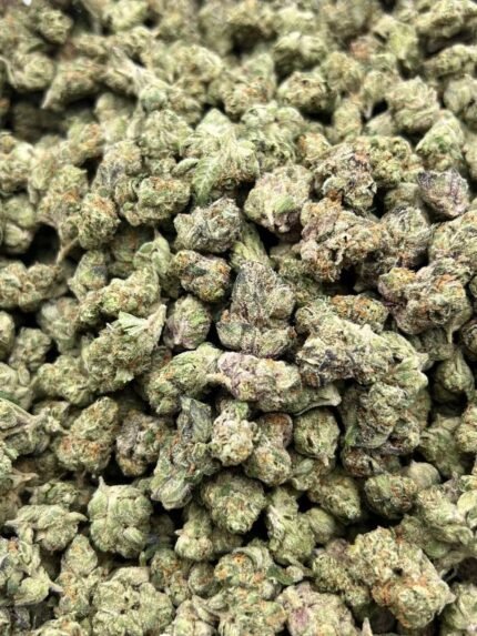 Orange Cookies CBD Flower