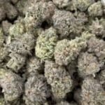 Raspberry Lemonade THCa Flower