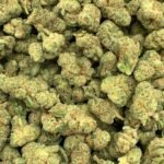 Candyland THCA Flower