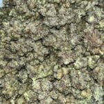 Blue Cheese THCA Flower