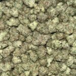 Peyote Cookies THCA Flower