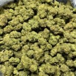 Blackberry Kush THCA Flower