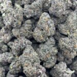 Headband THCA Flower