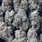 Fruity Pebbles OG THCV Flower