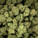 Chocolate Diesel THCa Flower