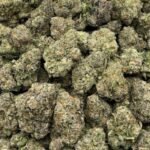 Jillybean THCV Flower