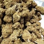 Jack Frost THCV Flower