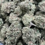 Purple Punch THC Flower