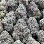 Raspberry Cream THCa Flower