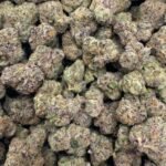 Black Cherry Soda THC Flower