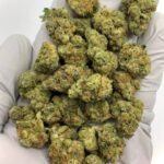 Kush Mints THCa Flower