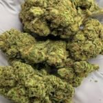 Crescendo THCa Flower