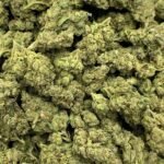 Alien OG THCa Flower