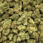 Ice Cream Cake THC Flower