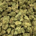 Cinderella 99 THC Flower