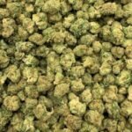 Berry Punch THCa Flower