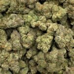 Pink Kush THCA Flower