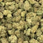 Jillybean THCA Flower