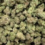 Star Killer THCA Flower