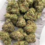 Raspberry Rumble THCa Flower