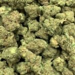 Sundae Driver THCA Flower