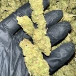 Fruit Punch THCa Flower