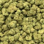 Chocolope THCA Flower