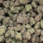 Lemon Skunk CBCV Flower