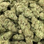 Strawberry Cough CBCV Flower