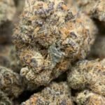 Grapefruit Dream THCa Flower