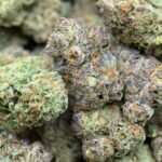 Cherry Limeade THCa Flower